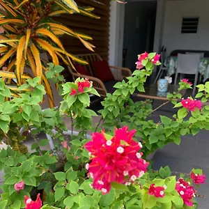 le-tropical.comcaribbean.com/